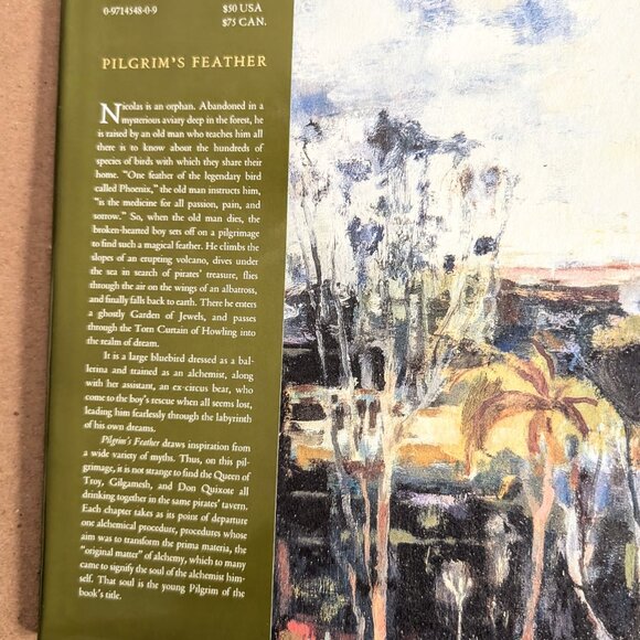 Pilgrim's Feather by R. Nemo Hill & Jeanne Hedstrom, 2002, Like New hidden gem - Picture 2 of 9
